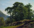 スイスのブナ林 1863 古典的な風景 イワン・イワノビッチの木
